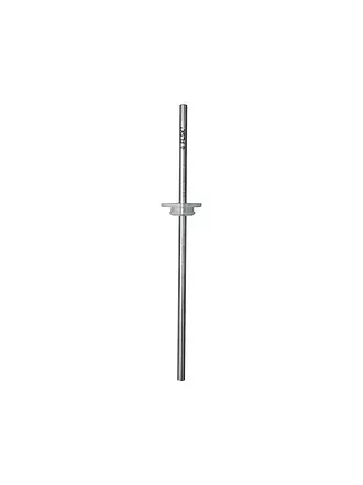 FLSK | Paille avec brosse de nettoyage, lot de 2, acier inoxydable | 